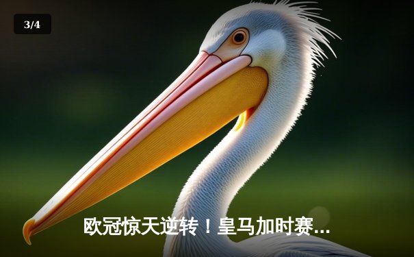 欧冠惊天逆转！皇马加时赛3-2绝杀拜仁，维尼修斯双响贝林厄姆制胜 - 3